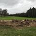<13th Green. Conifers have gone